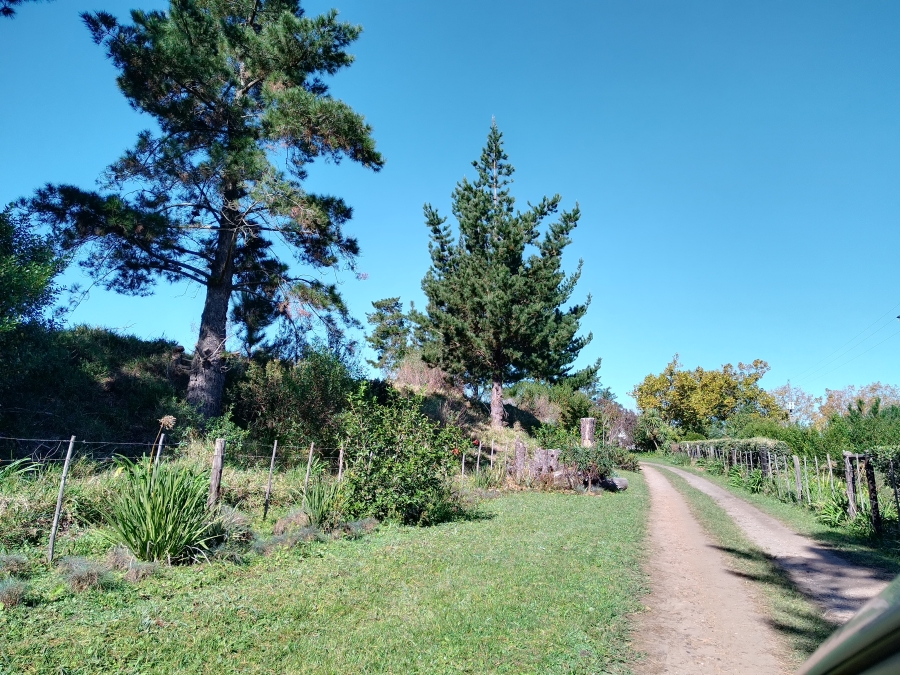 12 Bedroom Property for Sale in Friemersheim Western Cape